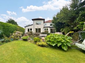 Photo 41- click for photo gallery